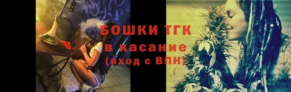 Альфа ПВП Богородск