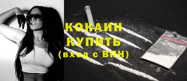Альфа ПВП Богородск