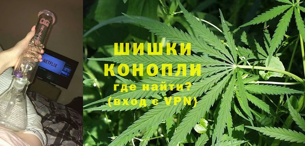 прущая мука Богданович