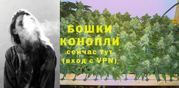 Альфа ПВП Богородск